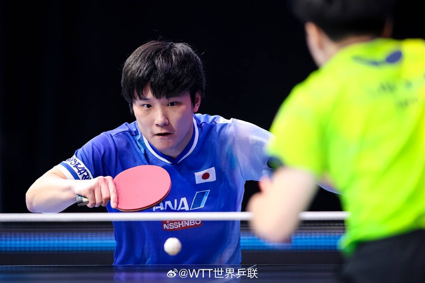 包含波兰队险胜瑞典队,张本智和点燃赛场的词条 包含波兰队险胜瑞典队,张本智和点燃赛场的词条