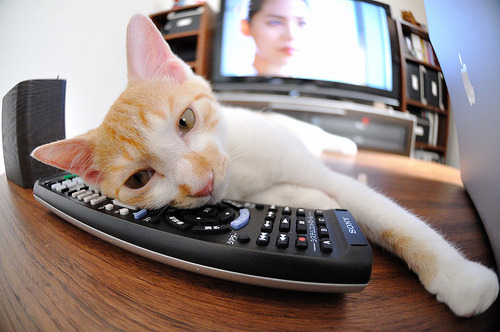 门迪爆发,那不勒斯一波带走波兰—当新星闪耀与战术风暴相遇