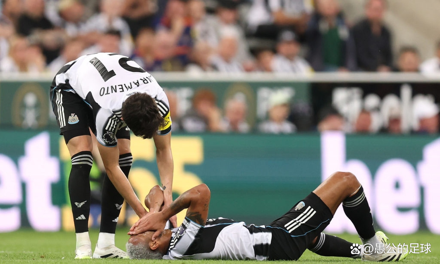 纽卡斯尔逆转击败热刺，挽回颓势的简单介绍