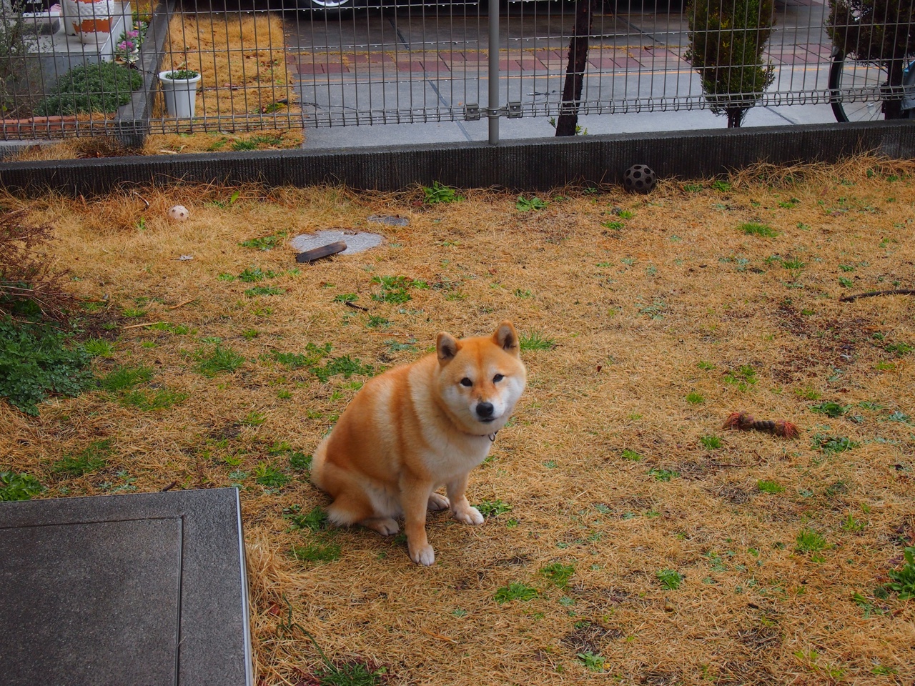 久保建英用实力证明自己,马德里竞技封锁喀麦隆—亚洲新星的崛起与战术博弈的胜利