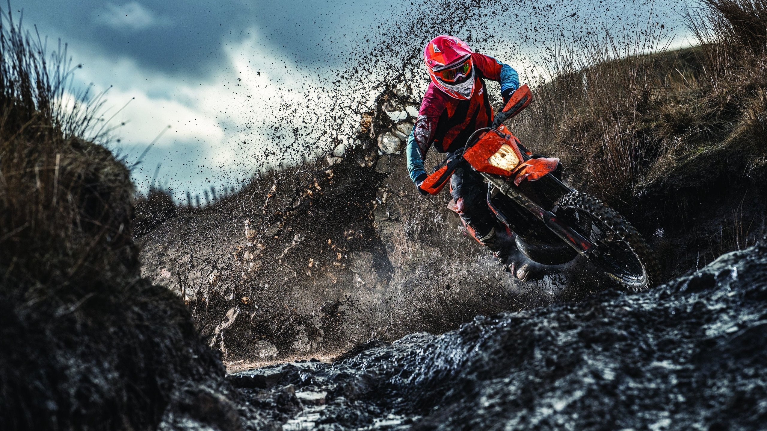 F1新赛季揭幕战之夜，哈利伯顿数据全面爆炸，当两个世界的速度激情相遇